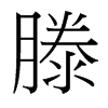 滕的臺灣細明體