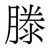 滕的香港明體