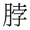 脖的香港明體